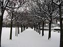 2007-01-25, Schnee (3)